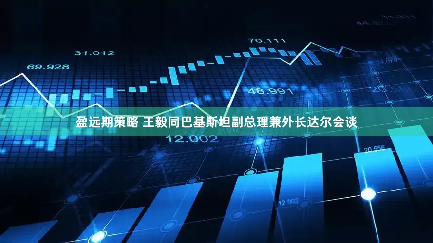 盈远期策略 王毅同巴基斯坦副总理兼外长达尔会谈